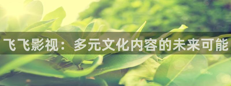保利万和国际影城在哪：飞飞影视：多元文化内容的未来可能