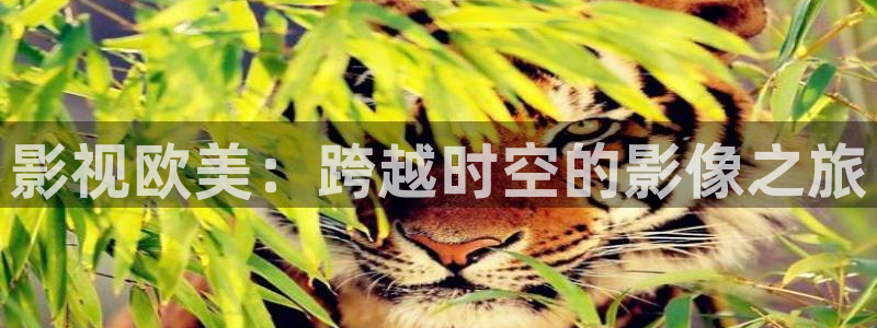 保利影院今日影讯：影视欧美：跨越时空的影像之旅