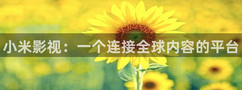 上海保利云间剧场：小米影视：一个连接全球内容的平台
