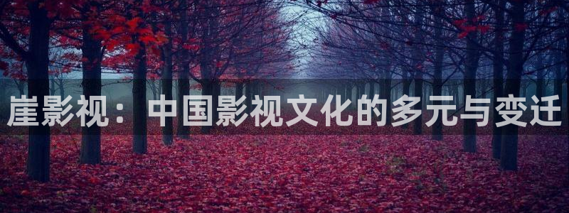 保利剧院儿童剧：崖影视：中国影视文化的多元与变迁