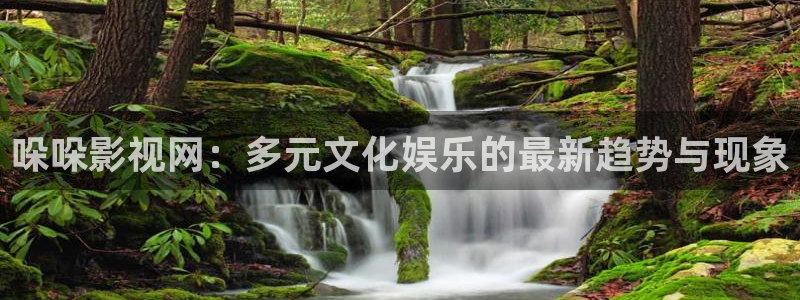 上海保利云间剧场：哚哚影视网：多元文化娱乐的最新趋势与现象