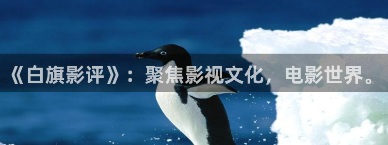 宁波保利国际影城：《白旗影评》：聚焦影视文化，电影世界。
