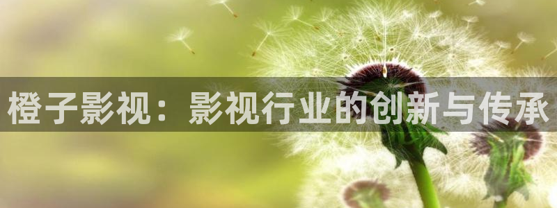 成都保利国际影城：橙子影视：影视行业的创新与传承